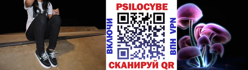 Псилоцибиновые грибы GOLDEN TEACHER  сколько стоит  Микунь 